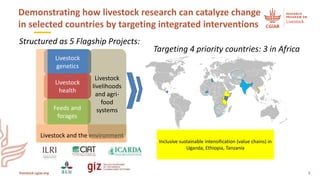 Accelerating uptake of research on sustainable livestock interventions—Insights from the CRP