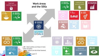 Accelerating livestock research into use: Multi-stakeholder value propositions