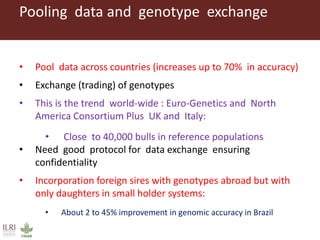 Improving the accuracy of genomic predictions in small holder crossed-bred dairy cattle 
