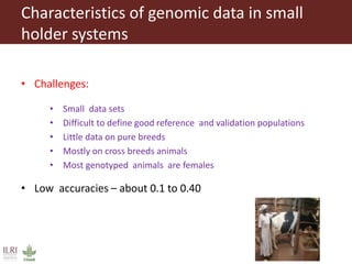 Improving the accuracy of genomic predictions in small holder crossed-bred dairy cattle 