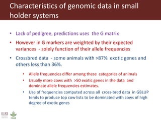Improving the accuracy of genomic predictions in small holder crossed-bred dairy cattle 