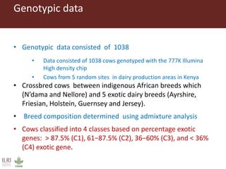 Improving the accuracy of genomic predictions in small holder crossed-bred dairy cattle 
