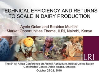 TECHNICAL EFFICIENCY AND RETURNS TO SCALE IN DAIRY PRODUCTION Ayele Gelan and Beatrice Muriithi  Market Opportunities Theme,  ILRI, Nairobi, Kenya The 5 th  All Africa Conference on Animal Agriculture, held at United Nation Conference Centre, Addis Ababa, Ethiopia October 25-28, 2010  