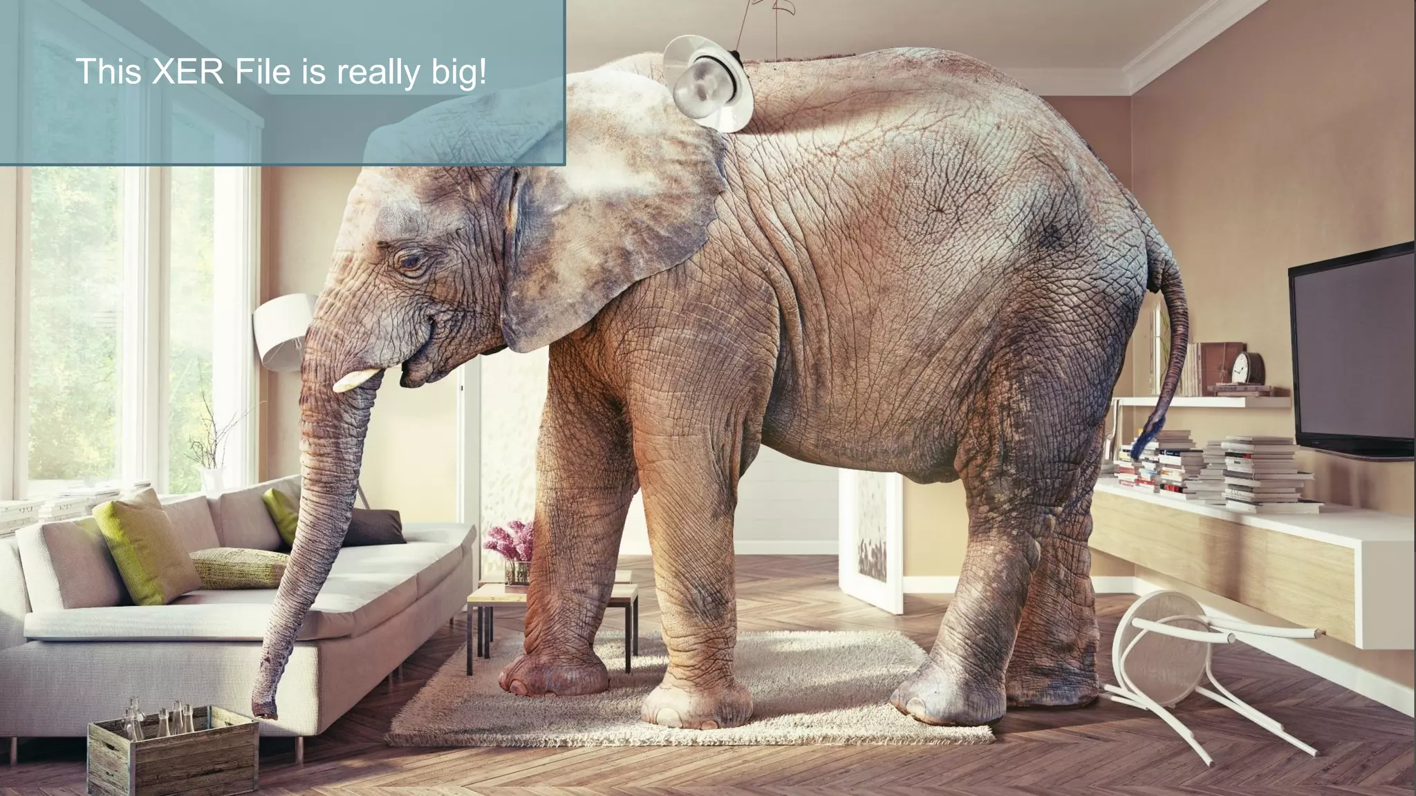  What’s all this extra data?
This XER File is really big!
 