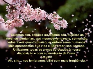 Estamos sim, debaixo do mesmo céu, sujeitos àsEstamos sim, debaixo do mesmo céu, sujeitos às
mesmas ventanias, aos mesmos vendavais, somos tãomesmas ventanias, aos mesmos vendavais, somos tão
vulneráveis quanto quaisquer outros seres humanos.vulneráveis quanto quaisquer outros seres humanos.
Mas aprendemos que vida é luta e por isso lutamos.Mas aprendemos que vida é luta e por isso lutamos.
Utilizamos todas as armas colocadas à nossaUtilizamos todas as armas colocadas à nossa
disposição e com a permissão de Deus.disposição e com a permissão de Deus.
Deus!!!Deus!!!
Ah, sim... nos lembramos dEle com mais freqüência.Ah, sim... nos lembramos dEle com mais freqüência.
 