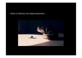 Todas as formas são impermanentes...
 