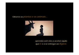 Observe as plantas e os animais...




                      aprenda com eles a aceitar aquilo
                      que é e a se entregar ao Agora.
 