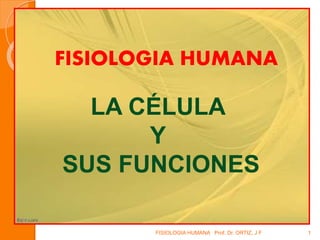 FISIOLOGIA HUMANA 
LA CÉLULA 
Y 
SUS FUNCIONES 
FISIOLOGIA HUMANA Prof. Dr. ORTIZ, J F 1 
 