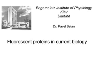 Bogomoletz Institute of Physiology Kiev Ukraine   Dr. Pavel Belan ,[object Object]