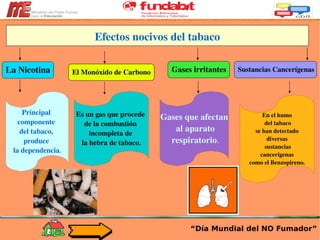 “ Día Mundial del NO Fumador” Efectos nocivos del tabaco La Nicotina El Monóxido de Carbono Gases irritantes Sustancias Cancerígenas Principal  componente  del tabaco,  produce  la dependencia . Es un gas que procede  de la combustión  incompleta de  la hebra de tabaco. Gases que afectan al aparato respiratorio . En el humo del tabaco se han detectado  diversas sustancias cancerígenas  como el Benzopireno. 