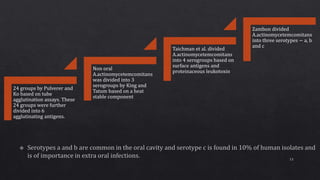 24 groups by Pulverer and
Ko based on tube
agglutination assays. These
24 groups were further
divided into 6
agglutinating antigens.
Non oral
A.actinomycetemcomitans
was divided into 3
serogroups by King and
Tatum based on a heat
stable component
Taichman et al. divided
A.actinomycetemcomitans
into 4 serogroups based on
surface antigens and
proteinaceous leukotoxin
Zambon divided
A.actinomycetemcomitans
into three serotypes − a, b
and c
13
 