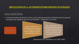 LOCALISED JP
Large numbers of A.
actinomycetemcomitans
are routinely isolated
from localized juvenile
periodontitis lesions
The eradication of A.
actinomycetemcomitans
from diseased sites is
usually correlated with
recovery from clinical
symptoms of disease
ORAL INFECTIONS
18
 
