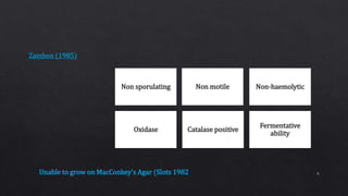 Non sporulating Non motile Non-haemolytic
Oxidase Catalase positive
Fermentative
ability
Unable to grow on MacConkey’s Agar (Slots 1982) 6
 