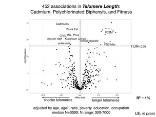 452 associations in Telomere Length:
Cadmium, Polychlorinated Biphenyls, and Fitness
IJE, in press
0
1
2
3
4
−0.2 −0.1 0.0 0.1 0.2
effect size
−log10(pvalue)
PCBs?
FDR<5%
Trunk Fat
Alk. PhosCRP
Cadmium
Cadmium (urine)cigs per day
retinyl stearate
R2 ~ 1%
VO2 Maxpulse rate
shorter telomeres longer telomeres
adjusted by age, age2, race, poverty, education, occupation
median N=3000; N range: 300-7000
 