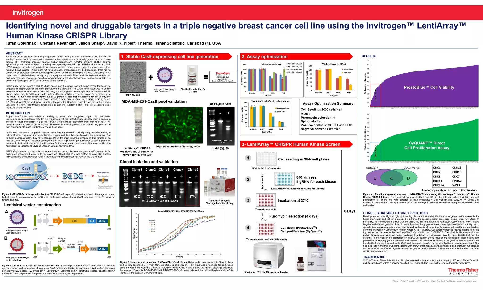 Identifying novel and druggable targets in a triple negative breast ...