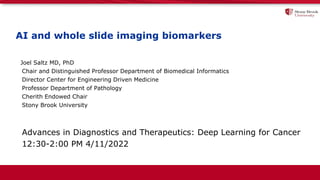 AI and whole slide imaging biomarkers
Joel Saltz MD, PhD
Chair and Distinguished Professor Department of Biomedical Informatics
Director Center for Engineering Driven Medicine
Professor Department of Pathology
Cherith Endowed Chair
Stony Brook University
Advances in Diagnostics and Therapeutics: Deep Learning for Cancer
12:30-2:00 PM 4/11/2022
 