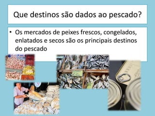 Quem se dedica à pesca em Portugal?Apesar das modernizações, geralmente , em Portugal ,quem trabalha na pesca é uma população activa bastante envelhecida e com um nível de instrução e qualificação bastante baixos, mesmo com os progressos na área de formação profissional .