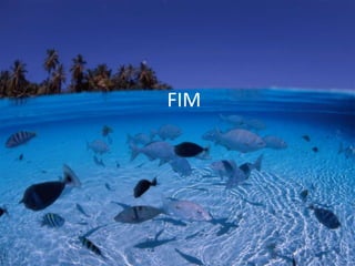 Que destinos são dados ao pescado?Os mercados de peixes frescos, congelados, enlatados e secos são os principais destinos do pescado 