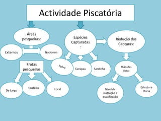 Actividade PiscatóriaÁreas pesqueiras:Espécies Capturadas:Redução das Capturas:NacionaisExternosPolvoFrotas pesqueiras SardinhaCarapauMão-de-obra:CosteiraLocalEstrutura EtáriaDe LargoNível de instrução e qualificação
