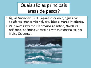 Quais são as principais áreas de pesca?Águas Nacionais:  ZEE , águas interiores, águas dos aquíferos, mar territorial, estuários e mares interiores.Pesqueiros externos: Noroeste Atlântico, Nordeste Atlântico, AtlânticoCentral e Leste e Atlântico Sul e o Índico Ocidental.