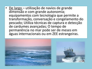 Costeira – Praticada em águas mais afastadas da costa; Utiliza embarcações dotadas de maior autonomia e de melhores condições de conservação do pescado a bordo; Está associada aos pesqueiros do norte de África
