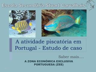 A atividade piscatória em
Portugal - Estudo de caso
                     Saber mais….
   A ZONA ECONÓMICA EXCLUSIVA
        PORTUGUESA (ZEE)
 