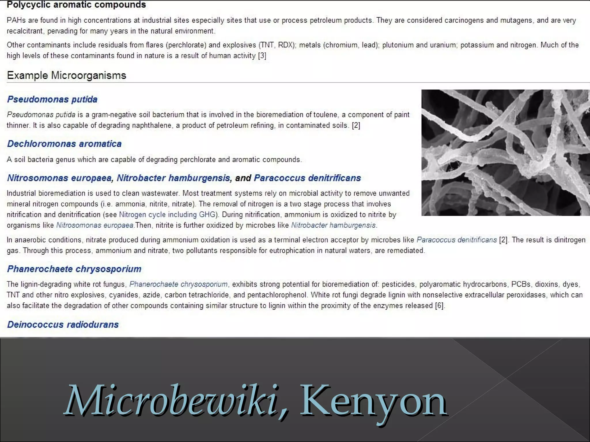 MicrobewikiMicrobewiki, Kenyon, Kenyon
 