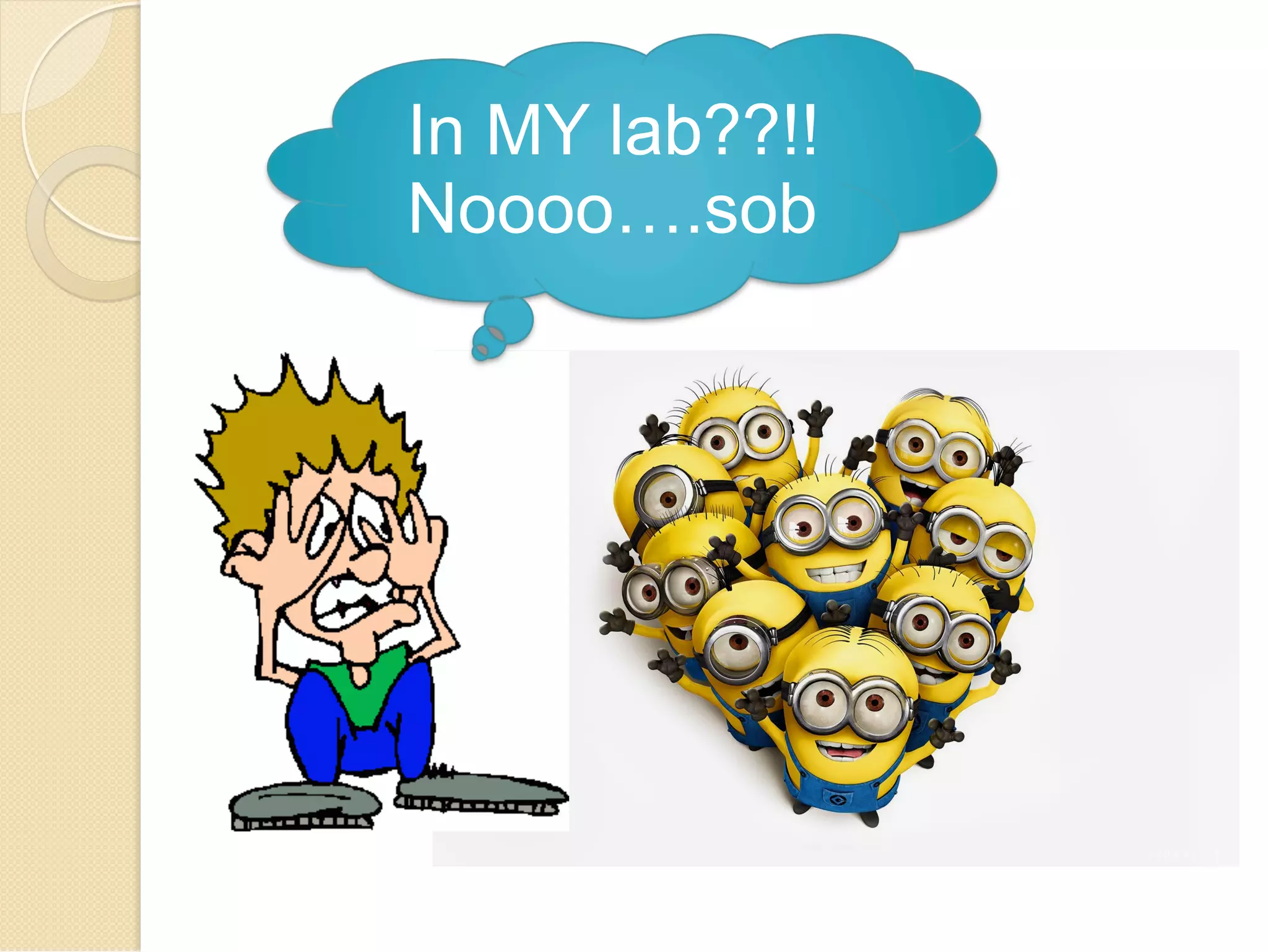In MY lab??!! 
Noooo….sob 
 