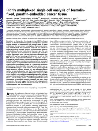 Highly multiplexed single-cell analysis of formalin-
ﬁxed, parafﬁn-embedded cancer tissue
Michael J. Gerdesa,1
, Christopher J. Sevinskyb,1
, Anup Soodc,1
, Sudeshna Adakd
, Musodiq O. Belloe,2
,
Alexander Bordwellc,3
, Ali Cane
, Alex Corwinf
, Sean Dinnc
, Robert J. Filkinsg
, Denise Hollmanb,3
, Vidya Kamathh
,
Sireesha Kaanumallec
, Kevin Kennyi
, Melinda Larsena,4
, Michael Lazarej,3
, Qing Lij
, Christina Lowesj
,
Colin C. McCullochk
, Elizabeth McDonoughj
, Michael C. Montaltol,5
, Zhengyu Pangb
, Jens Rittscherm
,
Alberto Santamaria-Pange
, Brion D. Sarachann
, Maximilian L. Seelb
, Antti Seppoa
, Kashan Shaikhf
,
Yunxia Suik
, Jingyu Zhangb
, and Fiona Gintyo,6
a
Cell Biology Laboratory, b
Biochemistry and Bioanalytics Laboratory, c
Biological and Organic Chemistry Laboratory, e
Biomedical Image Analysis Laboratory,
f
Micro-System and Micro-Fluidics Laboratory, g
Clinical Systems and Signal Processing Organization, h
Computational Biology and Biostatistics Laboratory,
i
Advanced Computing Laboratory, j
Biomedical Imaging and Physiology Laboratory, k
Applied Statistics Laboratory, l
Molecular Imaging and Diagnostics
Advanced Technologies, m
Computer Vision Laboratory, n
Software Science and Analytics Organization, and o
Life Sciences and Molecular Diagnostics
Laboratory, GE Global Research Center, Niskayuna, NY 12309; and d
GE Healthcare, John F. Welch Technology Centre, 560066 Bangalore, India
Edited by Dennis A. Carson, University of California, San Diego, La Jolla, CA, and approved May 15, 2013 (received for review January 4, 2013)
Limitations on the number of unique protein and DNA molecules
that can be characterized microscopically in a single tissue specimen
impede advances in understanding the biological basis of health
and disease. Here we present a multiplexed ﬂuorescence micros-
copy method (MxIF) for quantitative, single-cell, and subcellular
characterization of multiple analytes in formalin-ﬁxed parafﬁn-
embedded tissue. Chemical inactivation of ﬂuorescent dyes after each
image acquisition round allows reuse of common dyes in iterative
staining and imaging cycles. The mild inactivation chemistry is com-
patible with total and phosphoprotein detection, as well as DNA
FISH. Accurate computational registration of sequential images is
achieved by aligning nuclear counterstain-derived ﬁducial points.
Individual cells, plasma membrane, cytoplasm, nucleus, tumor, and
stromal regions are segmented to achieve cellular and subcellular
quantiﬁcation of multiplexed targets. In a comparison of patholo-
gist scoring of diaminobenzidine staining of serial sections and au-
tomated MxIF scoring of a single section, human epidermal growth
factor receptor 2, estrogen receptor, p53, and androgen receptor
staining by diaminobenzidine and MxIF methods yielded similar
results. Single-cell staining patterns of 61 protein antigens by MxIF
in 747 colorectal cancer subjects reveals extensive tumor heteroge-
neity, and cluster analysis of divergent signaling through ERK1/2, S6
kinase 1, and 4E binding protein 1 provides insights into the spatial
organization of mechanistic target of rapamycin and MAPK signal
transduction. Our results suggest MxIF should be broadly applicable
to problems in the ﬁelds of basic biological research, drug discovery
and development, and clinical diagnostics.
cancer diagnostics | high-content cellular analysis | image analysis | mTOR |
multiplexing
Advances in molecular characterization technologies have
radically affected cancer research, understanding, diagnosis,
and treatment. For example, comprehensive genomic analysis
shows that breast cancer can be divided into at least four intrinsic
molecular subtypes, and each subtype is associated with a dif-
ferential phenotype, prognosis, and response to therapy (1, 2).
Comprehensive molecular proﬁling has also revealed intrinsic
molecular subtypes of other cancers, including glioblastoma,
squamous lung, colorectal, and ovarian cancers (3–6). These clas-
siﬁcations promise to drive development of new diagnostics and
inform therapy decisions. Although multigene-based tests facilitate
interrogation of broad genomic proﬁles of the whole specimen,
important histological, cellular, and subcellular context is lost.
Continued advances in basic and translational cancer research will
likely require new comprehensive molecular proﬁling technologies.
Motivated by the need to maximize biomarker data from
costly drug discovery efforts and clinical trials, shrinking sample
sizes, and increasing appreciation of disease complexity, the use
of multiplexed molecular analysis has steadily increased (7).
Formalin-ﬁxed parafﬁn-embedded (FFPE) tissue is the most
common form of preserved archived clinical sample. FFPE tis-
sues are extensively used for routine diagnosis, and archived,
clinically annotated FFPE specimens have been used successfully
to identify prognostic and predictive cancer biomarkers in ret-
rospective analyses (8–10). Chromogenic immunohistochemistry
(IHC) is commonly used to determine in situ biomarker ex-
pression in FFPE tissue [e.g., diaminobenzidine (DAB) staining]
but suffers from a number of inherent limitations, including the
requirement of a new sample for each analyte, nonlinear staining
intensity, and laboratory-to-laboratory variability due to subjec-
tive semiquantitative analysis (11).
Fluorescence microscopy enables limited multiplexed, quantita-
tive analyses in cell and tissue specimens. Up to ﬁve ﬂuorescent dyes
can be spectrally resolved using standard optical ﬁlters, and separa-
tion of up to seven ﬂuorophores has been reported with multispectral
imaging (12). Despite these attributes, intrinsic autoﬂuorescence
often precludes detection of all but the most abundant molecules in
ﬂuorescence microscopy of FFPE tissues (13).
The limitations described above motivated us to develop an an-
alytical technology capableofquantitative, high-dimensional,insitu
data acquisition from biological tissue specimens (Fig. 1). In this
report we describe a ﬂuorescence microscopy procedure that ena-
bles high-level multiplexing of protein and nucleic acid detection
Author contributions: M.J.G., C.J.S., A. Sood, R.J.F., M.C.M., A.S.-P., B.D.S., and F.G. designed
research; M.J.G., C.J.S., A. Sood, M.O.B., A.B., A. Can, S.D., D.H., S.K., K.K., M. Larsen,
M. Lazare, Q.L., C.L., C.C.M., E.M., Z.P., A.S.-P., M.L.S., A. Seppo, and J.Z. performed research;
M.J.G., C.J.S., A. Sood, M.O.B., A. Can, A. Corwin, S.D., R.J.F., V.K., K.K., C.C.M., Z.P., J.R.,
A.S.-P., B.D.S., K.S., Y.S., and F.G. contributed new reagents/analytic tools; M.J.G., C.J.S.,
A. Sood, S.A., Q.L., Z.P., Y.S., and F.G. analyzed data; and M.J.G., C.J.S., A. Sood, and F.G.
wrote the paper.
Conﬂict of interest statement: All authors afﬁliated with GE Global Research Center,
Niskayuna, NY, 12309 are current employees of General Electric Company.
This article is a PNAS Direct Submission.
Freely available online through the PNAS open access option.
1
M.J.G., C.J.S., and A. Sood contributed equally to this work.
2
Present address: Clinical Software Engineering, GE Healthcare Waukesha, WI 53188.
3
Present address: MultiOmyx R&D Laboratory. Clarient: A GE Healthcare Company, Aliso
Viejo, CA 92656.
4
Department of Biological Sciences, State University of New York at Albany, Albany, NY
12222.
5
Clinical and Medical Affairs Omnyx, LLC, Pittsburgh, PA 15212.
6
To whom correspondence should be addressed. E-mail: ginty@research.ge.com.
This article contains supporting information online at www.pnas.org/lookup/suppl/doi:10.
1073/pnas.1300136110/-/DCSupplemental.
www.pnas.org/cgi/doi/10.1073/pnas.1300136110 PNAS Early Edition | 1 of 6
MEDICALSCIENCESCOMPUTERSCIENCES
 