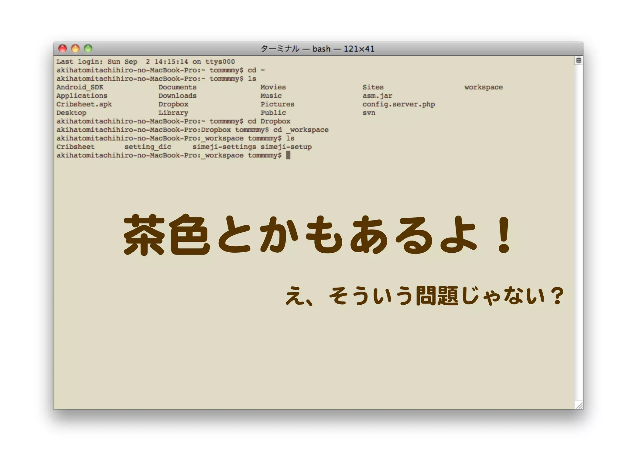 茶色とかもあるよ！
   え、そういう問題じゃない？
 