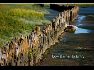 Low Barrier to Entry
 