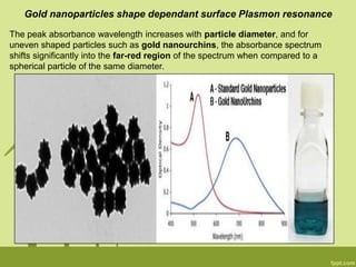 Gold nanoparticles shape dependant surface Plasmon resonance
The peak absorbance wavelength increases with particle diameter, and for
uneven shaped particles such as gold nanourchins, the absorbance spectrum
shifts significantly into the far-red region of the spectrum when compared to a
spherical particle of the same diameter.
 