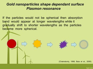 Gold nanoparticles shape dependant surface
Plasmon resonance
If the particles would not be spherical then absorption
band would appear at longer wavelengths while it
gradually shift to shorter wavelengths as the particles
become more spherical.
(Chakraborty, 1998; Baia et al., 2006).
 