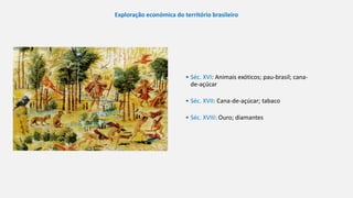 • Séc. XVI: Animais exóticos; pau-brasil; cana-
de-açúcar
• Séc. XVII: Cana-de-açúcar; tabaco
• Séc. XVIII: Ouro; diamantes
Exploração económica do território brasileiro
 