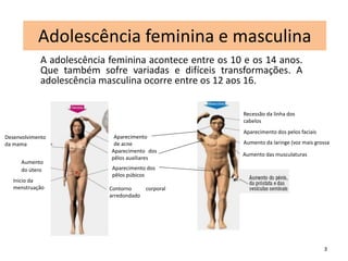 Adolescência feminina e masculina 
A adolescência feminina acontece entre os 10 e os 14 anos. 
Que também sofre variadas e difíceis transformações. A 
adolescência masculina ocorre entre os 12 aos 16. 
3 
Desenvolvimento 
da mama 
Aumento 
do útero 
Inicio da 
menstruação 
Aparecimento 
de acne 
Aparecimento dos 
pêlos auxiliares 
Aparecimento dos 
pêlos púbicos 
Contorno corporal 
arredondado 
Recessão da linha dos 
cabelos 
Aparecimento dos pelos faciais 
Aumento da laringe (voz mais grossa 
Aumento das musculaturas 
 