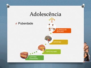 Adolescência
O Puberdade
LEPITINA
(obesidade)
HIPOTÁLAMO
HIPÓFISE
GLÂNDULAS
SEXUAIS
 