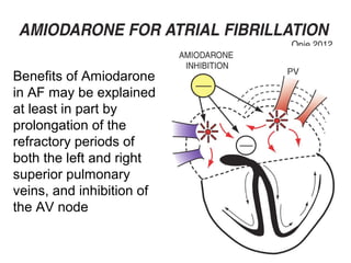 Benefits of Amiodarone
in AF may be explained
at least in part by
prolongation of the
refractory periods of
both the left and right
superior pulmonary
veins, and inhibition of
the AV node
 