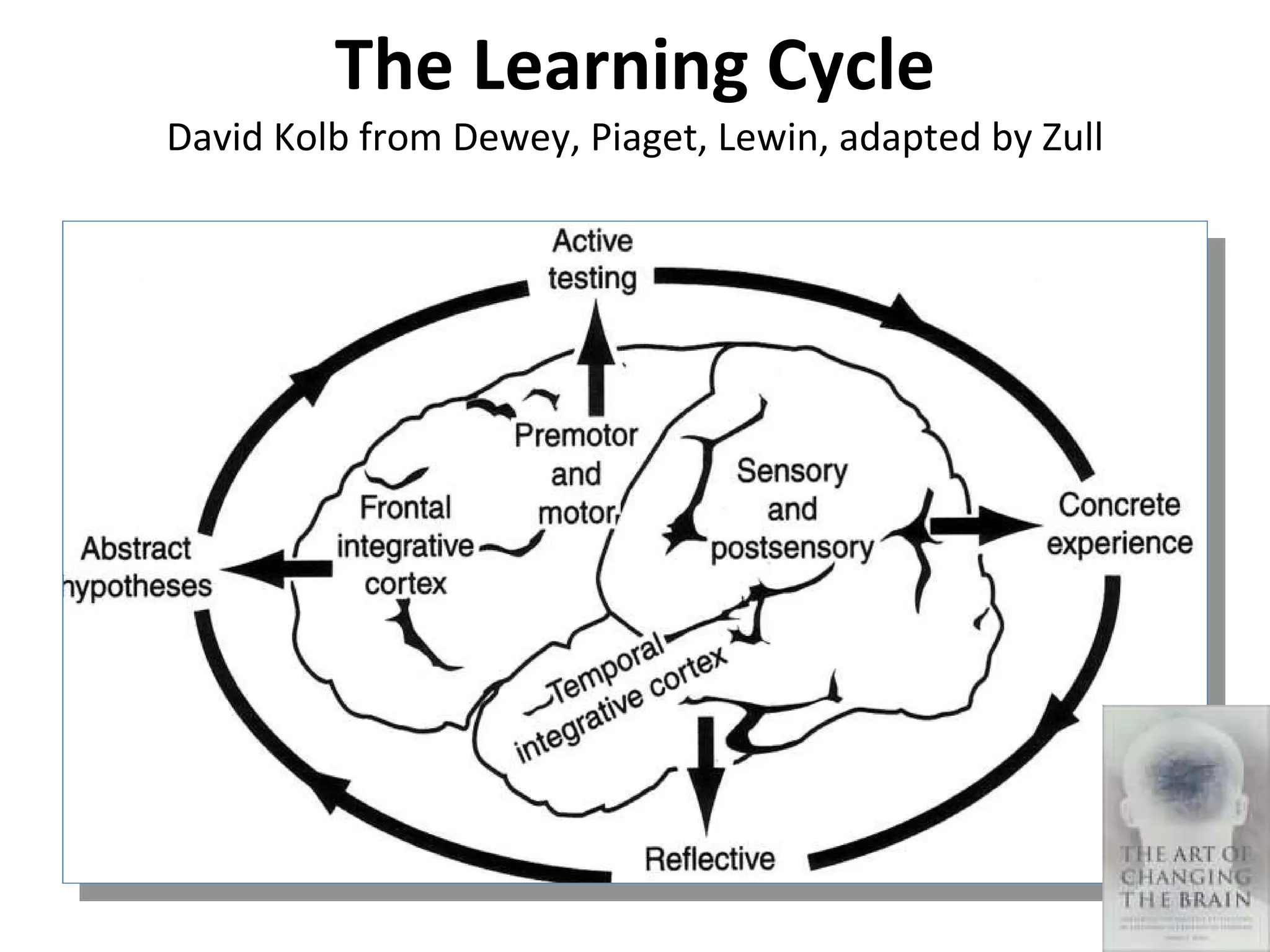 The Learning Cycle David Kolb from Dewey, Piaget, Lewin, adapted by Zull 