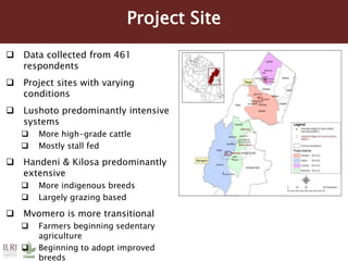 Farmers’ preference for bundled input-output markets: Implications for adapting dairy market hubs in the Tanzania dairy value chain
