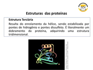 Estrutura Terciária
Resulta do enrolamento da hélice, sendo estabilizada por
pontes de hidrogênio e pontes dissulfeto. É literalmente um
dobramento da proteína, adquirindo uma estrutura
tridimensional.
Estruturas das proteínas
Imagem:Rockpocket/Estruturaterciáriadeuma
proteína,em26desetembrode2009/PublicDomain
 