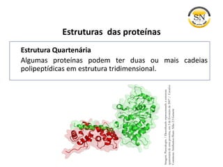 Estruturas das proteínas
Estrutura Quartenária
Algumas proteínas podem ter duas ou mais cadeias
polipeptídicas em estrutura tridimensional.
Imagem:Parutakupiu/Desenhandorepresentandoaestrutura
quaternáriadeumaproteína,em3defevereirode2007/Creative
CommonsAttribution-ShareAlike2.5Generic
 