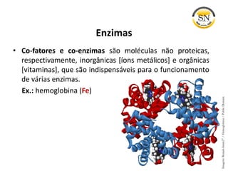 • Co-fatores e co-enzimas são moléculas não proteicas,
respectivamente, inorgânicas [íons metálicos] e orgânicas
[vitaminas], que são indispensáveis para o funcionamento
de várias enzimas.
Ex.: hemoglobina (Fe)
Enzimas
Imagem:Benjah-bmm27/Hemoglobina/PublicDomain
 