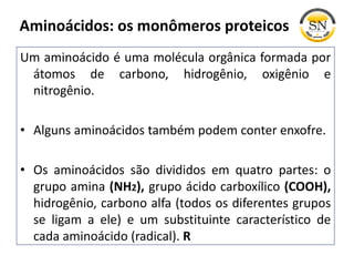 Um aminoácido é uma molécula orgânica formada por
átomos de carbono, hidrogênio, oxigênio e
nitrogênio.
• Alguns aminoácidos também podem conter enxofre.
• Os aminoácidos são divididos em quatro partes: o
grupo amina (NH2), grupo ácido carboxílico (COOH),
hidrogênio, carbono alfa (todos os diferentes grupos
se ligam a ele) e um substituinte característico de
cada aminoácido (radical). R
Aminoácidos: os monômeros proteicos
 