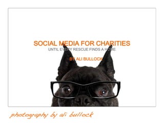 SOCIAL MEDIA FOR CHARITIES
   UNTIL EVERY RESCUE FINDS A HOME

            BY ALI BULLOCK
 