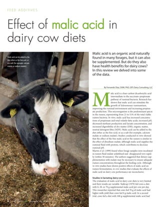 Effect of malic acid in
dairy cow diets
F E E D A D D I T I V E S
Malic acid is an organic acid naturally
found in many forages, but it can also
be supplemented. But do they also
have health benefits for dairy cows?
In this review we delved into some
of the data.
By Fernando Diaz, DVM, PhD, GPS Dairy Consulting, LLC
M
alic acid is a four-carbon dicarboxylic acid
intermediate in the succinate–propionate
pathway of ruminal bacteria. Research has
shown that malic acid can stimulate the
growth of Selenomonas ruminantium,
improving the ruminal environment and increasing propion-
ate production. This microorganism is the predominant specie
in the rumen, representing from 21 to 51% of the total viable
rumen bacteria. In vitro, malic acid has increased concentra-
tions of propionate and total volatile fatty acids, increased pH,
decreased methane production and lactate concentration, and
increased digestibility of dry matter (DM), organic matter,
neutral detergent fibre (NDF). Malic acid can be added to the
diet either as the free acid, or as a salt (for example, calcium
malate or sodium malate). Studies conducted in vitro showed
that the effect of the free malic acid in the rumen is similar to
the effect of disodium malate, although malic acid supplies the
ruminal fluid with protons, which contributes to decrease
ruminal pH.
Martin et al. (1999) found when forage samples were incubated
in rumen fluid malate solubilised and -disappeared very rapid-
ly (within 30 minutes). The authors suggested that dietary sup-
plementation with malate may be necessary to ensure adequate
rumen concentrations throughout the feeding cycle. Although
in vitro studies have shown positive effects of malic acid on
rumen fermentation, in vivo studies that evaluate the effects of
malic acid on dairy cow performance are inconclusive.
Studies in lactating dairy cows
The evaluation of malic acid in dairy cow diets is very limited
and their results are variable. Stallcup (1979) fed cows a diet
with 0, 28, or 70 g supplemental malic acid per cow per day.
This researcher reported that cows fed 70 g of malic acid had
higher milk yield than cows fed 0 g malic acid. In a second
trial, cows fed a diet with 100 g supplemental malic acid had
PHOTO:HENKRISWICK
ALL ABOUT FEED Volume 24, No. 10,20166
Malic acid can be added to the
diet either as the free acid, or
as a salt (for example, calcium
malate or sodium malate).
 