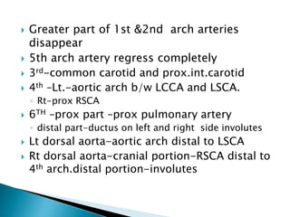  Greater part of 1st &2nd arch arteries
disappear
 5th arch artery regress completely
 3rd-common carotid and prox.int.carotid
 4th –Lt.-aortic arch b/w LCCA and LSCA.
◦ Rt-prox RSCA
 6TH –prox part –prox pulmonary artery
◦ distal part-ductus on left and right side involutes
 Lt dorsal aorta-aortic arch distal to LSCA
 Rt dorsal aorta-cranial portion-RSCA distal to
4th arch.distal portion-involutes
 