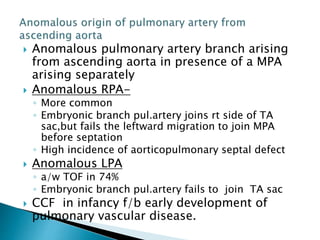  Anomalous pulmonary artery branch arising
from ascending aorta in presence of a MPA
arising separately
 Anomalous RPA-
◦ More common
◦ Embryonic branch pul.artery joins rt side of TA
sac,but fails the leftward migration to join MPA
before septation
◦ High incidence of aorticopulmonary septal defect
 Anomalous LPA
◦ a/w TOF in 74%
◦ Embryonic branch pul.artery fails to join TA sac
 CCF in infancy f/b early development of
pulmonary vascular disease.
 