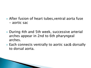  After fusion of heart tubes,ventral aorta fuse
- aortic sac
 During 4th and 5th week, successive arterial
arches appear in 2nd to 6th pharyngeal
arches.
 Each connects ventrally to aortic sac& dorsally
to dorsal aorta.
 