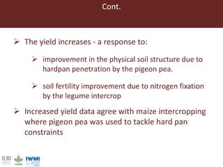 Lessons from pilot trials with small-scale irrigated forage production in the Amhara Region: Potential of integrating the perennial forage Napier grass with Desmodium and Pigeon Pea in cropping systems