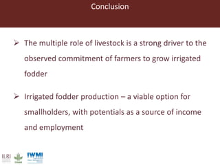 Lessons from pilot trials with small-scale irrigated forage production in the Amhara Region: Potential of integrating the perennial forage Napier grass with Desmodium and Pigeon Pea in cropping systems